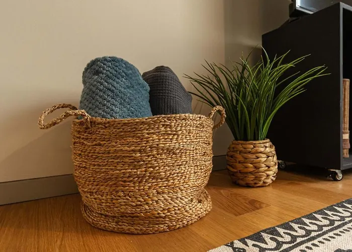 Casa Brasonada - Centro Historico 阿威罗